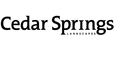 cedar springs logo-web